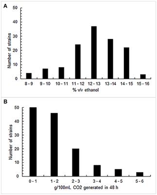 Use of Native Yeast Strains for In-Bottle Fermentation to Face the Uniformity in Sparkling Wine Production